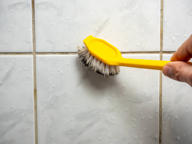 Trusted Inverness, IL Mold Removal Experts